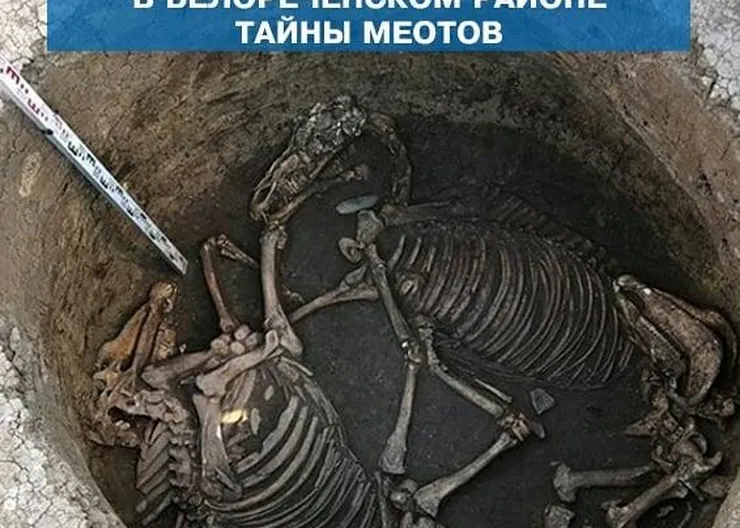 https://ognikubani.ru/wp-content/uploads/2020/08/118473042_118192609814585_2667618085055853879_n