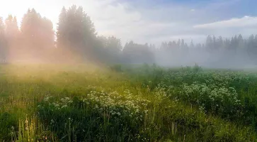 https://ognikubani.ru/wp-content/uploads/2020/06/473244_main