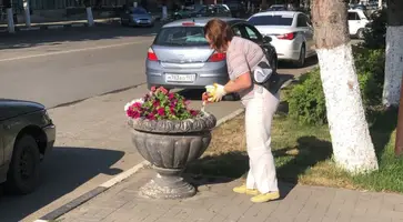 https://ognikubani.ru/wp-content/uploads/2022/06/photo5287545714714459111_1