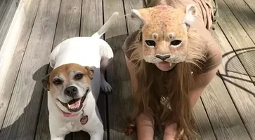 mx93jyin0r3s8ggwksmjo29yk05emsmt