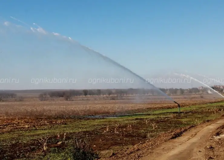 https://ognikubani.ru/wp-content/uploads/2019/12/17885_large_41953200