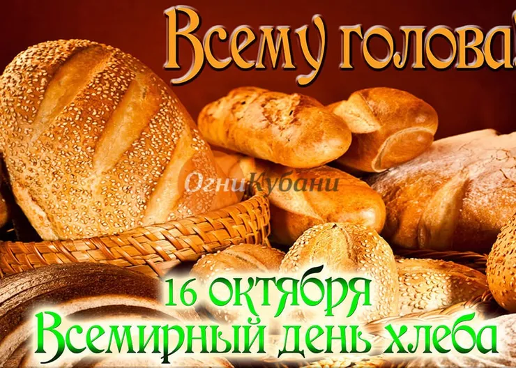 https://ognikubani.ru/wp-content/uploads/2019/10/scale_1200
