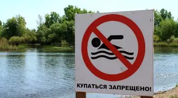 https://ognikubani.ru/wp-content/uploads/2020/07/image_26052015150552_14326347529055