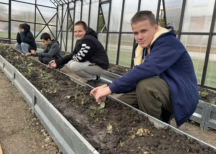 photo_5202125953432680602_y