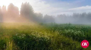 В середине рабочей недели на Кубани ожидаются дожди, туман и повышение температуры воздуха