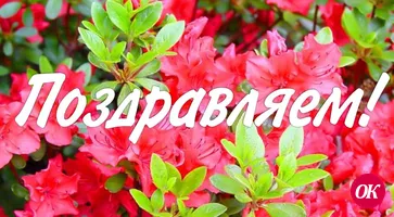 Подведены итоги конкурса юных блогеров АНО «Мы в сети»