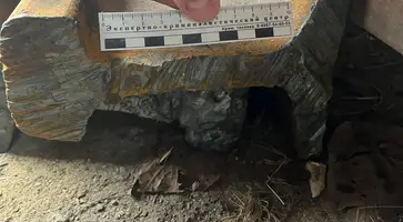 https://ognikubani.ru/wp-content/uploads/2023/04/PHOTO-2023-04-25-10-22-55