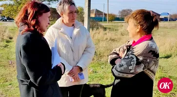 Собственника обязали привести заброшенный участок в Привольном в порядок