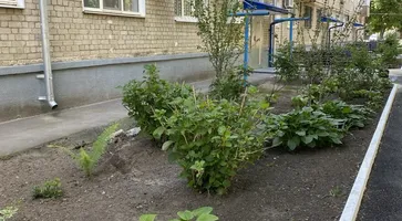 photo_2024-09-27_08-50-34