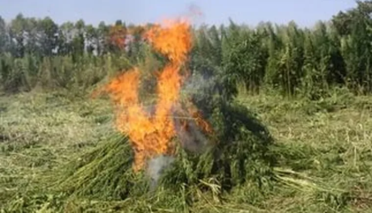 http://www.ognikuban.tw1.ru/wp-content/uploads/2017/09/zgliii_retyui22214i