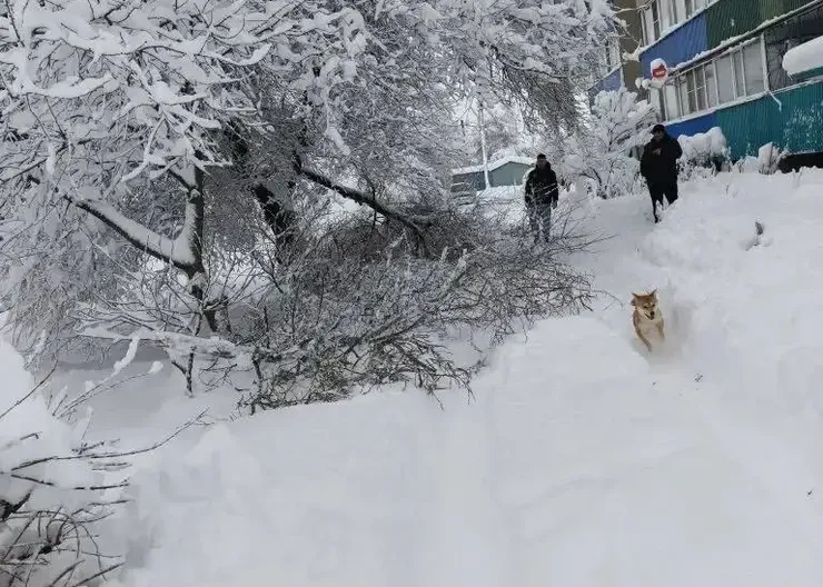 BAF6E210-9808-4162-B87F-357A9D723F03