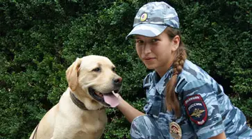 http://www.ognikuban.tw1.ru/wp-content/uploads/2015/06/DSC05622bbn
