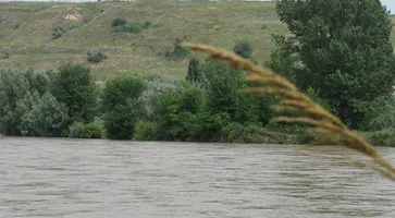 https://ognikubani.ru/wp-content/uploads/2022/07/reka_1