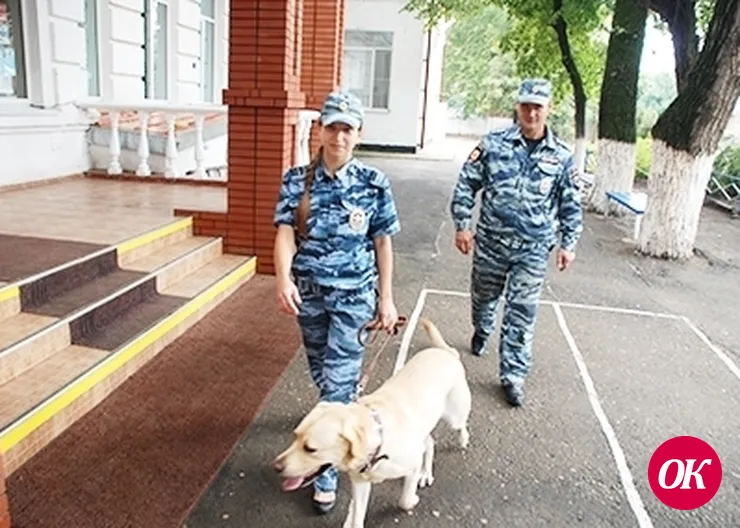 Гарантия безопасности выборов