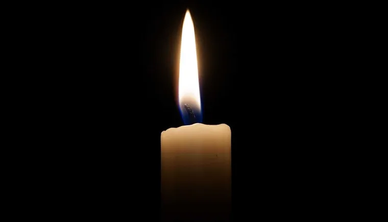 https://ognikubani.ru/wp-content/uploads/2021/01/ognikubani.ru-4