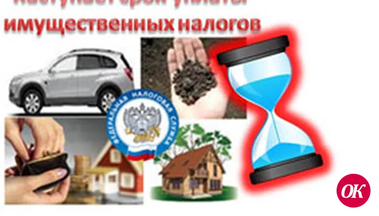 Срок уплаты налогов — 1 декабря