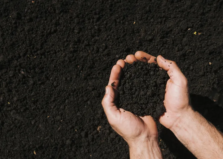 https://ognikubani.ru/wp-content/uploads/2023/03/flat-lay-hands-holding-soil
