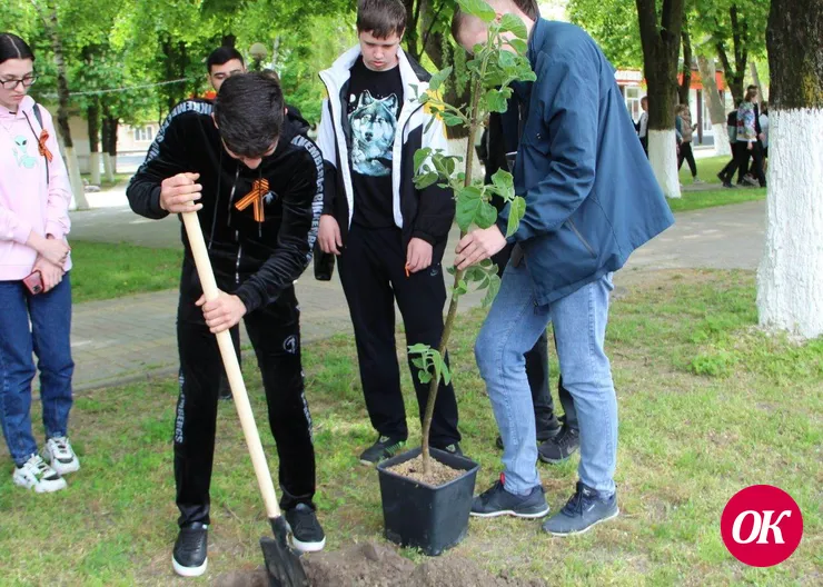 Волонтеры приняли участие в экопроекте, высадили деревья и совершили плоггинг-забег