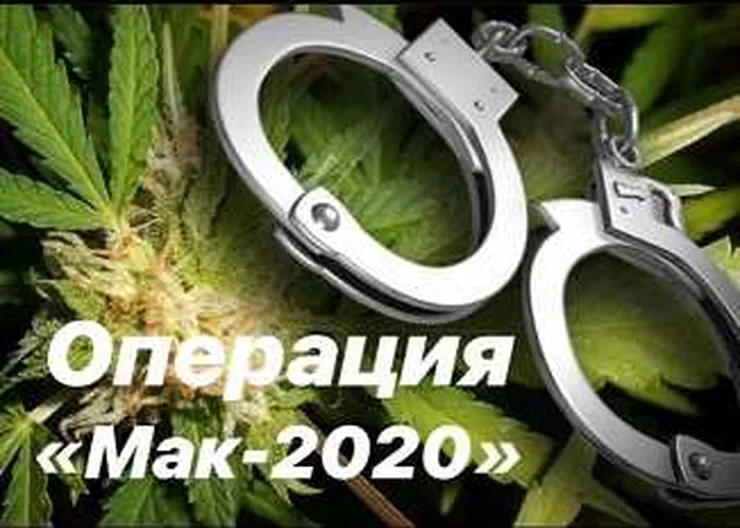 https://ognikubani.ru/wp-content/uploads/2020/09/операция-МАК-2020