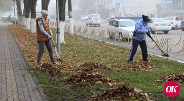Сегодня в Кропоткине дружно убирают опавшую листву