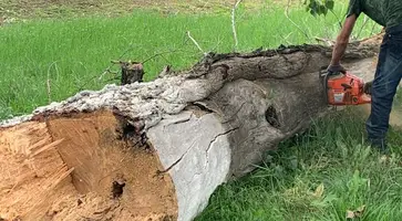 https://ognikubani.ru/wp-content/uploads/2020/06/WhatsApp-Image-2020-06-15-at-14.46.33