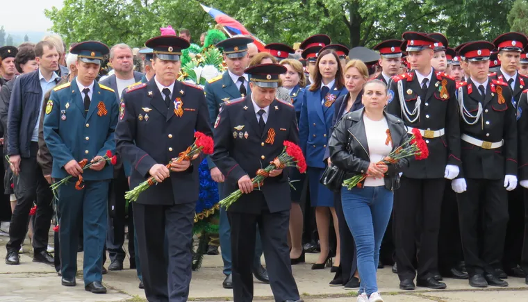 главная