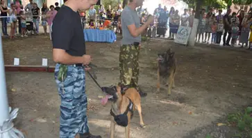 http://www.ognikuban.tw1.ru/wp-content/uploads/2016/09/DSC_0705z1