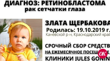 Срочный сбор средств на лечение