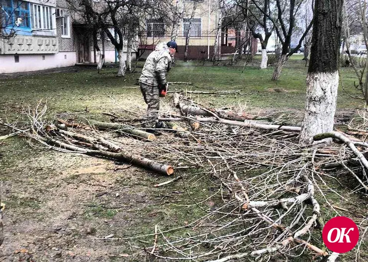 В Кропоткине продолжаются работы по санитарной обрезке деревьев