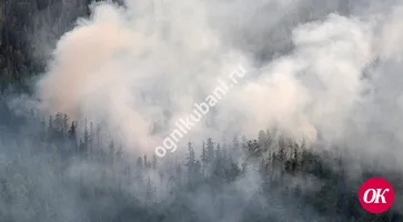 В Северском районе Краснодарского края из-за лесных пожаров введен режим ЧС