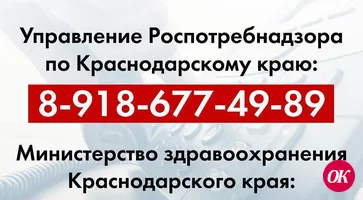 В крае работают горячие линии по вопросам коронавируса