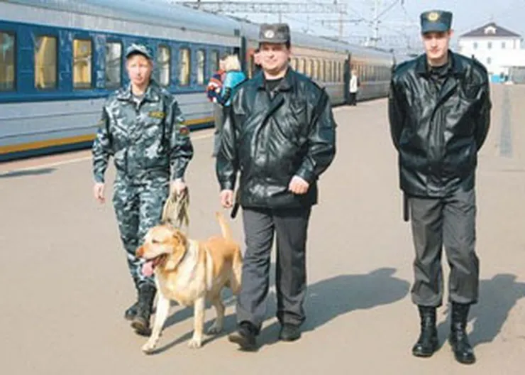 http://www.ognikuban.tw1.ru/wp-content/uploads/2017/04/transportnaya-policiya