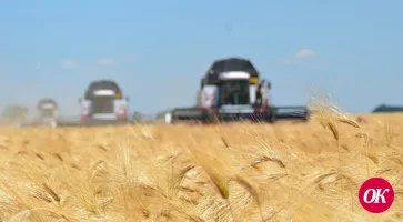 Хлеборобы ООО «Рассвет» первыми приступили к обмолоту зерновых