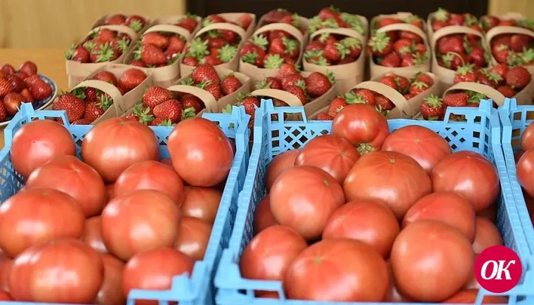 Фермерам Кубани помогут реализовать сельхозпродукцию