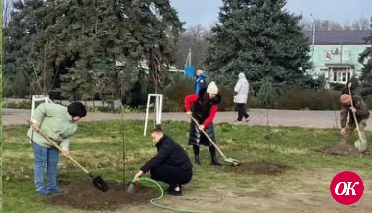Крупнолистные липы в память об участниках Великой Отечественной войны посадили в пос. им. Максима Горького