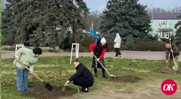 Крупнолистные липы в память об участниках Великой Отечественной войны посадили в пос. им. Максима Горького