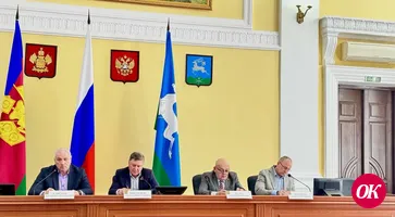 Депутаты города объединяются для решения проблемы бродячих собак