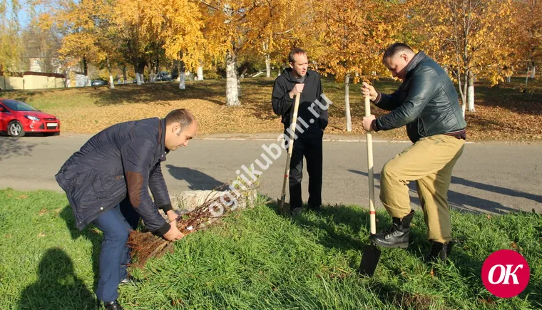 В парке 30-летия Победы Кропоткина высажено 200 яблонь