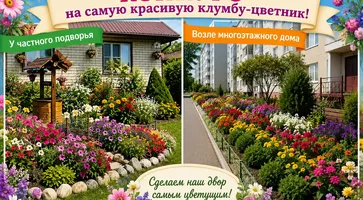 конкурс клумба
