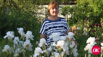 Семь лет Галина Рыбакова из станицы Кавказской выращивает на своем земельном участке более 400 сортов ирисов