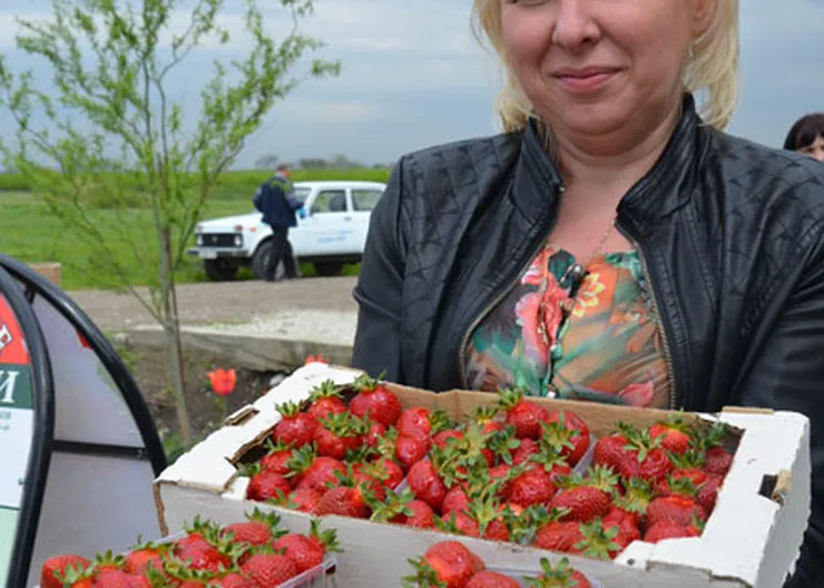 http://www.ognikuban.tw1.ru/wp-content/uploads/2015/06/DSC_0177vvv