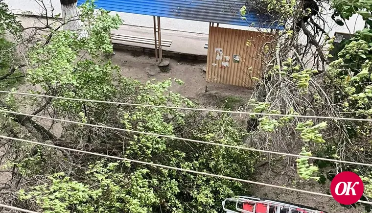 Ураган и его последствия. 20.05.2025