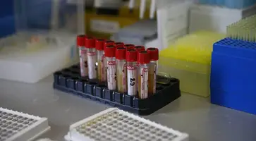 https://ognikubani.ru/wp-content/uploads/2020/03/91716702_202158164418877_3749395209832469393_n
