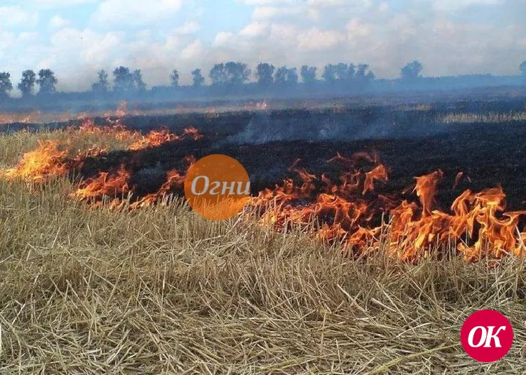 Пожар на улице Куйбышева ликвидировали за 20 минут
