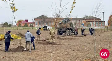 В Темижбекской продолжают сажать деревья