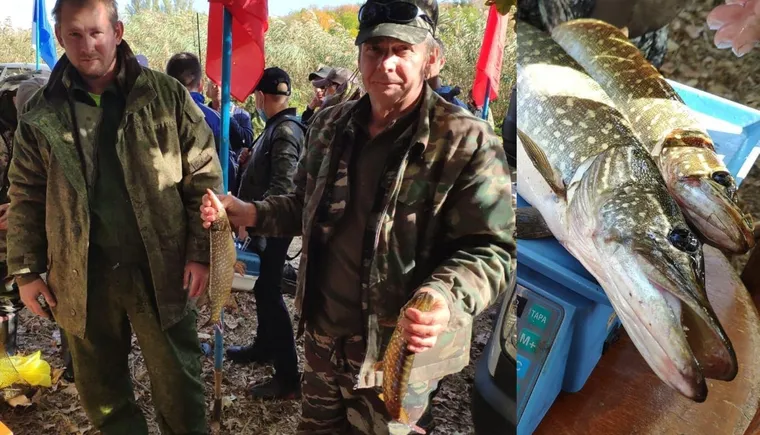 https://ognikubani.ru/wp-content/uploads/2020/10/сайт-2-1