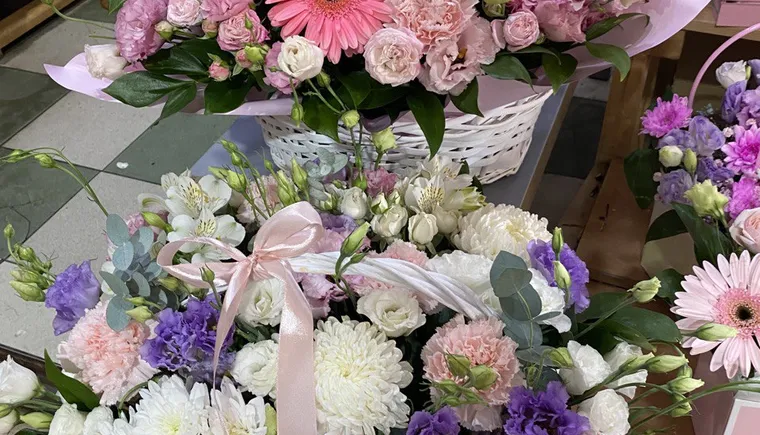 https://ognikubani.ru/wp-content/uploads/2023/08/photo_5434125015722347927_y-1
