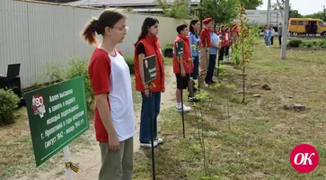 Аллея молодых героев-подпольщиков в Кропоткине пополнилась саженцами