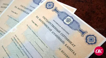 «Единая Россия» единогласно поддержала поправки об использовании маткапитала. Закон принят