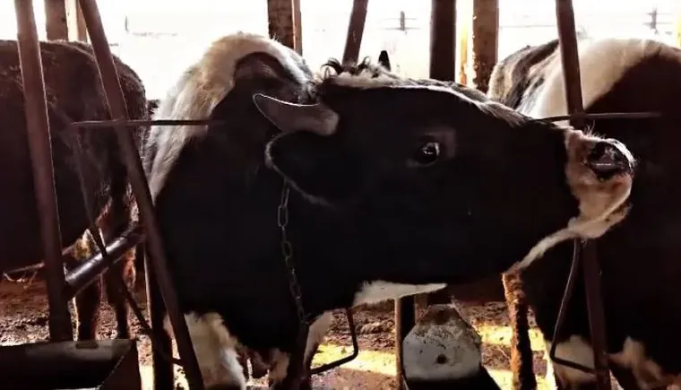 photo_5377776681181370571_x